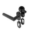 Door handle with plate, pair AISI 304, BLACK