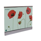 Glass railing, aluminium profile, 2500x1000mm